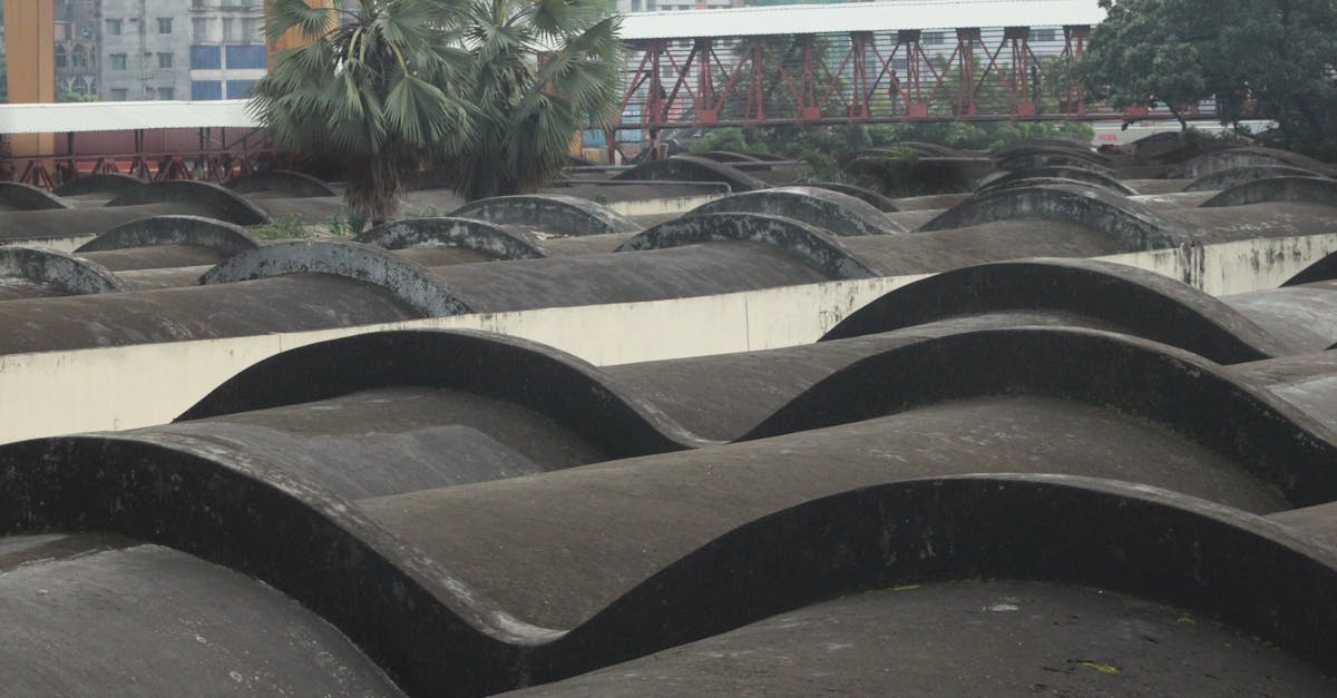 What are the 4 basic areas of finance?