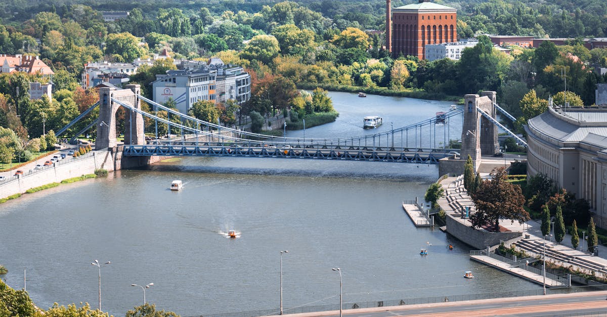 What are the 7 major types of financial institutions?