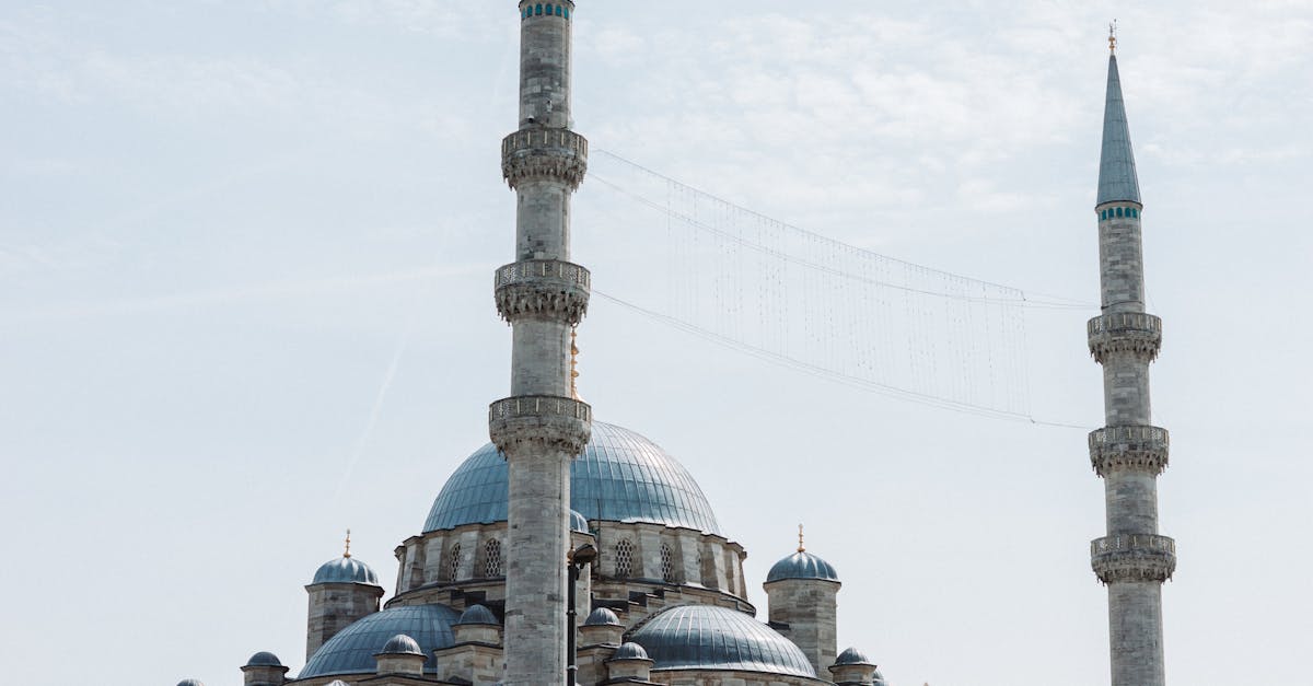 What is the outlook for international markets in 2025?