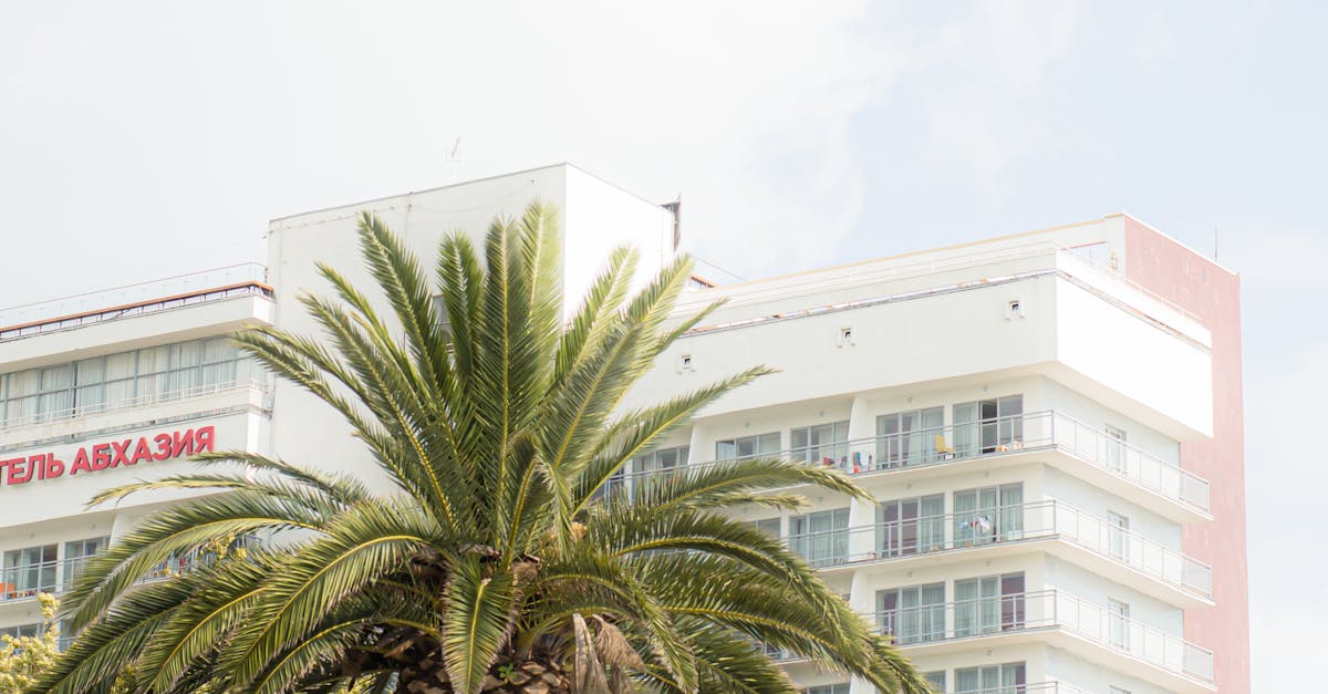 What is the world of international finance?